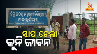 3-year-old Dies Of Snake Bite In Odisha's Nabarangpur | NandighoshaTV