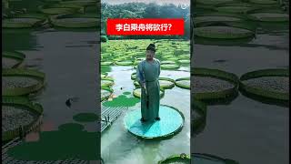 🔴李白乘舟將欲行？ ✳️😄