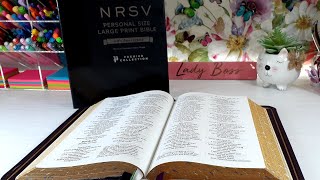 NRSV Personal Size Large Print Bible W/Apocrypha   @Zondervan #nrsv  #biblereview #catwoods