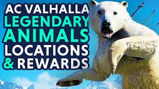 All 11 Legendary Animal Locations And Rewards - Assassin's Creed Valhalla Legendary Animals