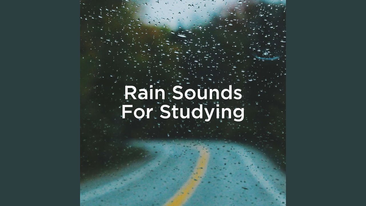 Rainforest Ambience Youtube Music