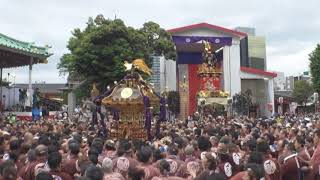 江戸三大祭＜Ⅱ＞【神田祭】（神田明神・江戸神社・各町会）神輿渡御宮入