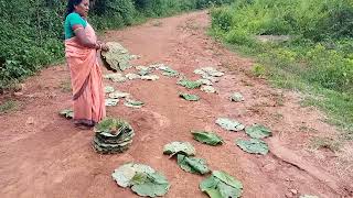 Process of making Siali Khali is an Indian eating plate or trencher made with broad dried leaves.