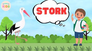 Stork Facts For Kids 😊 Learn All About Storks | MON Kids