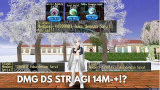 DUAL SWORD STR-AGI LV CAP 290 Arial Cut 14M++ TORAM ONLINE