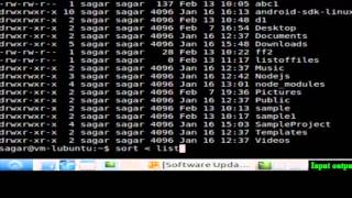 Input output redirection in Linux Shell terminal