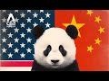 US-China Rivalry: Why America Is Losing Pandas - But It Won’t Be Forever