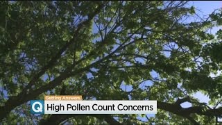 Sacramento Allergy Season Hitting Hard After Recent Rainfall