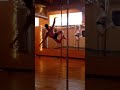 philip deal pole dancer after class demonstration