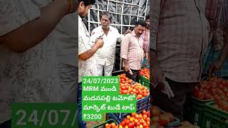 24/07/2023 మదనపల్లి tamoto మార్కెట్ mrm మండి టుడే టాప్ ₹3200