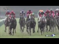 【単勝】函館記念2017 馬券勝負【複勝】