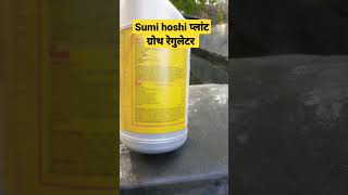 Sumi Hoshi सभी फसलों मे Best प्लांट ग्रोथ रेगुलेटर