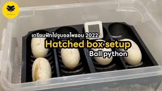 [เลี้ยงงู]EP18 เตรียมฟักไข่งูบอล - Ball python hatched box setup