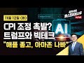 [김현석의 월스트리트나우-11월12일] CPI 조정 촉발? 트럼프와 빅테크 