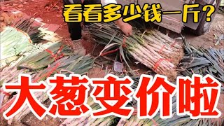 大葱变价太吓人，看11月11日集市上卖多少钱一斤？大吃一惊~带你们看每天中国菜市场物价【茉茉妈vlog】