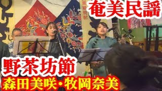 野茶坊節　森田美咲・牧岡奈美　奄美民謡　奄美シマ唄　amami【字幕】