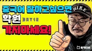 [윙키티비] 파워 초보 중국어 도전기_Day12