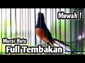 MASTERAN MURAI BATU FULL ISIAN TEMBAKAN CILILIN KENARI KAPAS TEMBAK LOVEBIRD CUNGKOK GEREJA