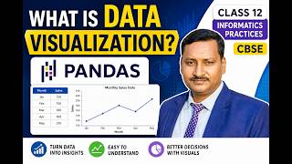 What is Data Visualization? | Pandas Data Visualization in Python | Class 12 Informatics Practices