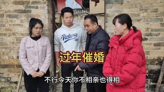 过年被逼相亲催婚，你会怎么做