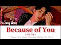 하성운 (Ha Sung Woon) - Because of You (Flower Crew: Joseon Marriage Agency OST Part 5) [가사 HAN/ROM/ENG