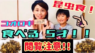 【閲覧注意】 昆虫食🦗を食べさせる叔母と食べる甥っ子！5歳が昆虫食にチャレンジ‼️