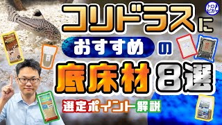 コリドラスにおすすめの底床材8選！選定のポイントは粒にあり！