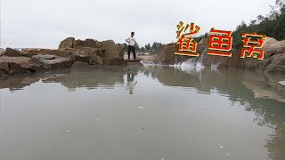 6个猪肺打窝500平龙王坑，猛货聚堆打起群架，还碰上鲨鱼窝