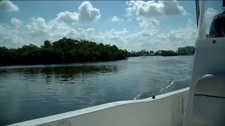 FGCU researchers come closer to installing artificial reef in Gulf