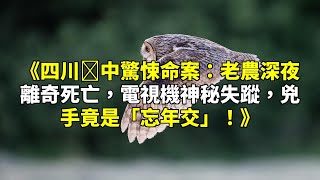 《四川閬中驚悚命案：老農深夜離奇死亡，電視機神秘失蹤，兇手竟是「忘年交」！》