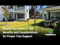 Should You Stake a Tree  Benefits and Considerations for Proper Tree Support