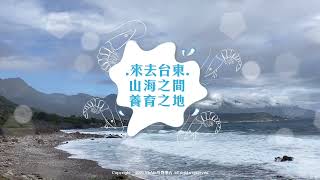 【美食】海先知 台東大白蝦 台灣純淨海水養殖 自產自銷  - Taitung Whiteleg shrimp ｜ MaMa好物事吉