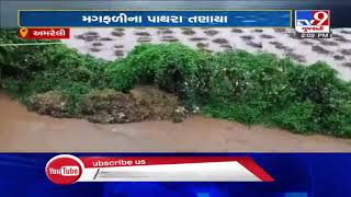 Heavy rain in Dhari, Sukhpur, rivers overflowing |Amreli | Tv9GujaratiNews