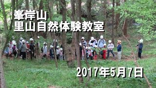 峯岸山・里山自然体験教室。2017.5.7