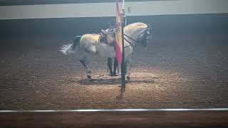 The Royal Andalusian Equestrian School in Jarez de la Fontara