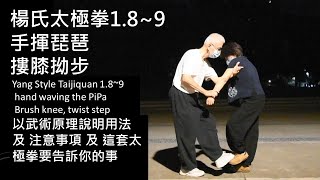 Yang Style Taijiquan 1.8~9( hand waving the PiPa)(Brush knee, twist step)