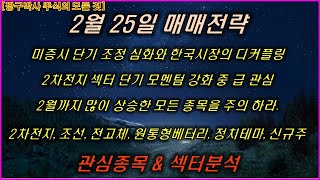 2월25월 삼성SDi, 에코프로머티, 두산에너빌리티, Ls일렉, 성우, 삼성중공업, TCC스틸, 레이크머티리얼즈, 이수스페셜티케미칼