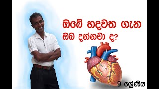 W.C.K.Munasinghe-Eisopde 02|ඔබේ හදවත ගැන ඔබ දන්නවා ද?  Grade 09