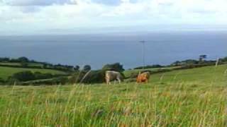 The Beauty of Exmoor National Park