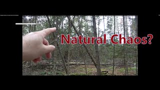 My Bigfoot Story Ep. 68 - Natural Chaos Or Something Else?