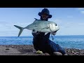 Perfect Weather, Perfect Catch! | Inshore Fishing in the Caribbean |  Saba, Dutch Caribbean | 2024