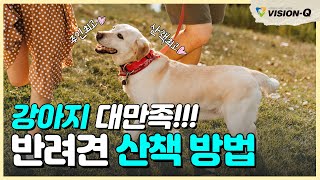 강아지가 대만족하는 반려견 산책 방법! ㅣ 강아지 산책교육, 강아지 산책시간