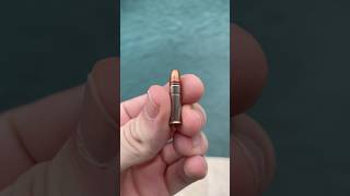 .22lr Hollow Point