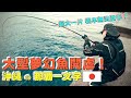 完蛋了！日本防波堤怎麼會有這種魚啦？磯釣惹不起！台灣更沒見過這種事！#沖繩釣魚 #那霸一文字新北堤 @JENGANADI