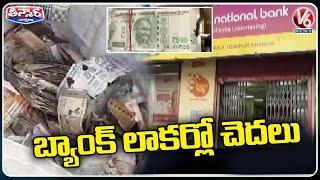 Termites Damages Currency Notes In Punjab National Bank | Udaipur | V6 Teenmaar