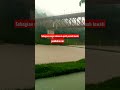 Jembatan arah menuju waduk cirata# dari arah purwakarta