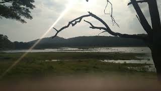 සුන්දර ගිරිතලේ වැව Beautiful Girithale Lake #Giritale_Lake #Polonnaruwa #Giritale #Deepest_Lake_SL