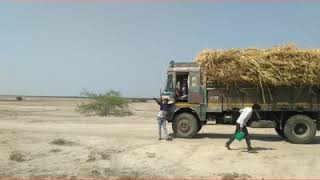 વછરાજ બેટ ઝીન્ઝુવાડા.દર્શન