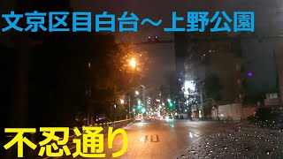 【深夜ドライブ】不忍通り（文京区目白台～上野公園）