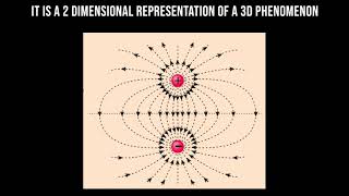 Electric Field Simulation in Virtual Reality